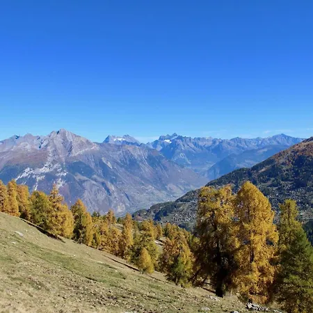 In Near Lift Apartment Nendaz